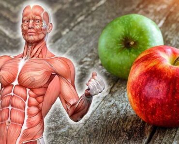 How Eating an Apple Every Day Transformed My Health