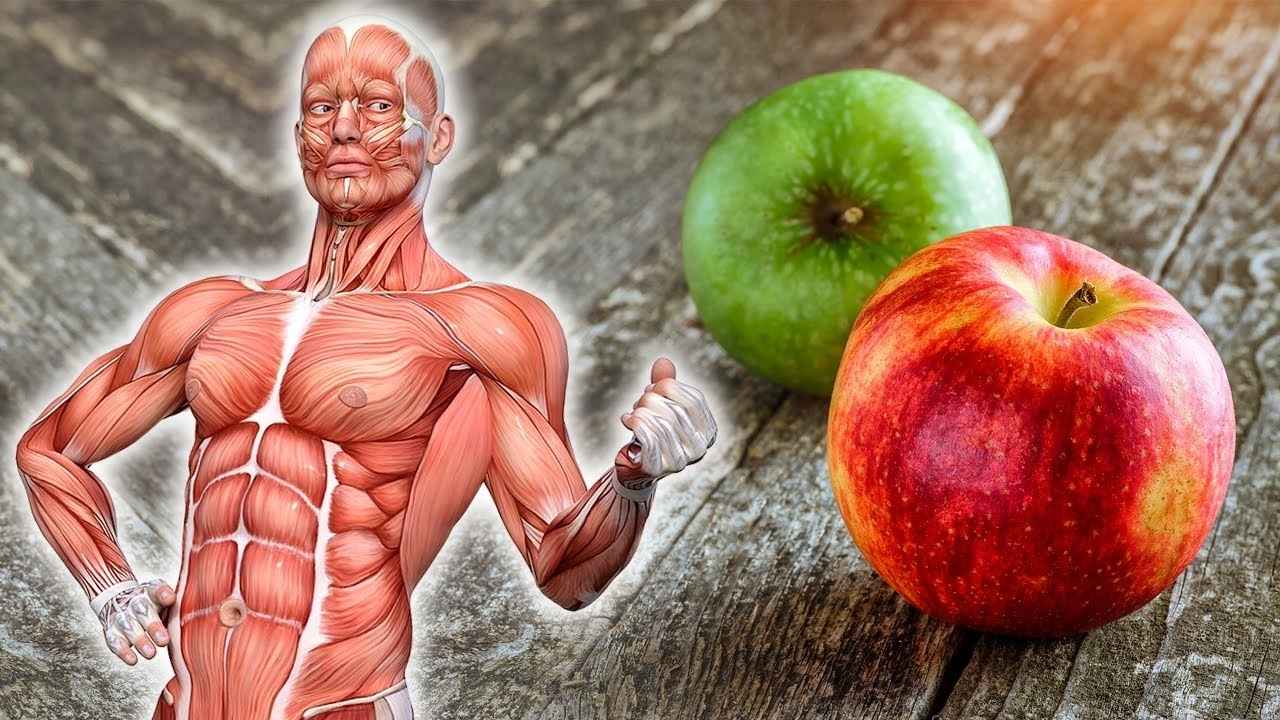 How Eating an Apple Every Day Transformed My Health